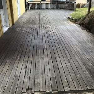 Byte av trall i Backadalen